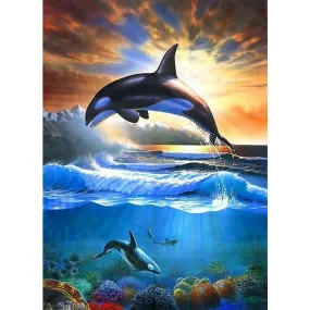 Dolphin - Full Square Diamond - 40x50CM