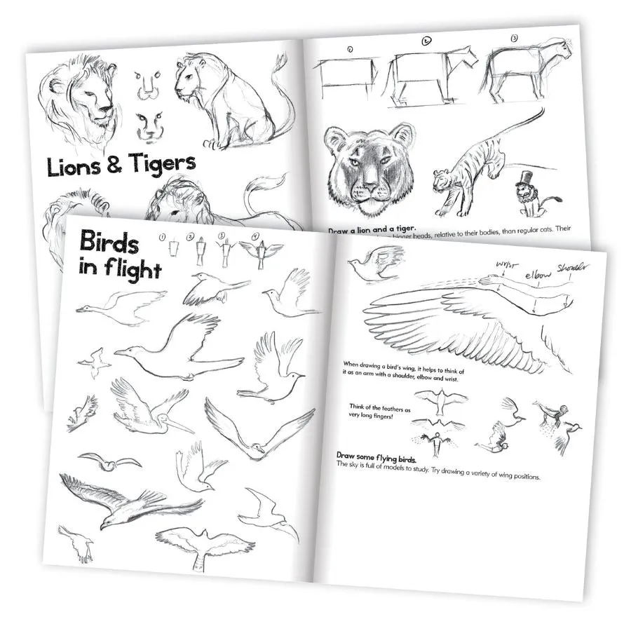 eeBoo - Learn to Draw Animals Book with Kevin Hawkes