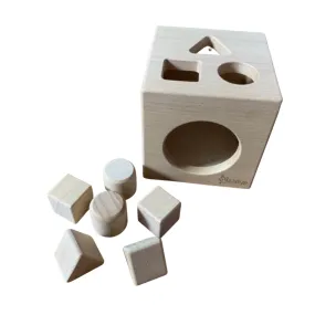 The Growing Brain PH Shape Sorting Cube