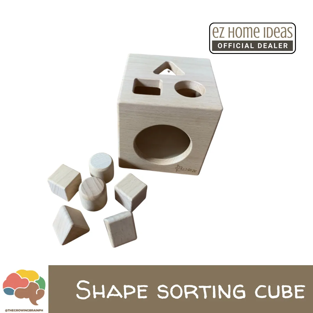 The Growing Brain PH Shape Sorting Cube