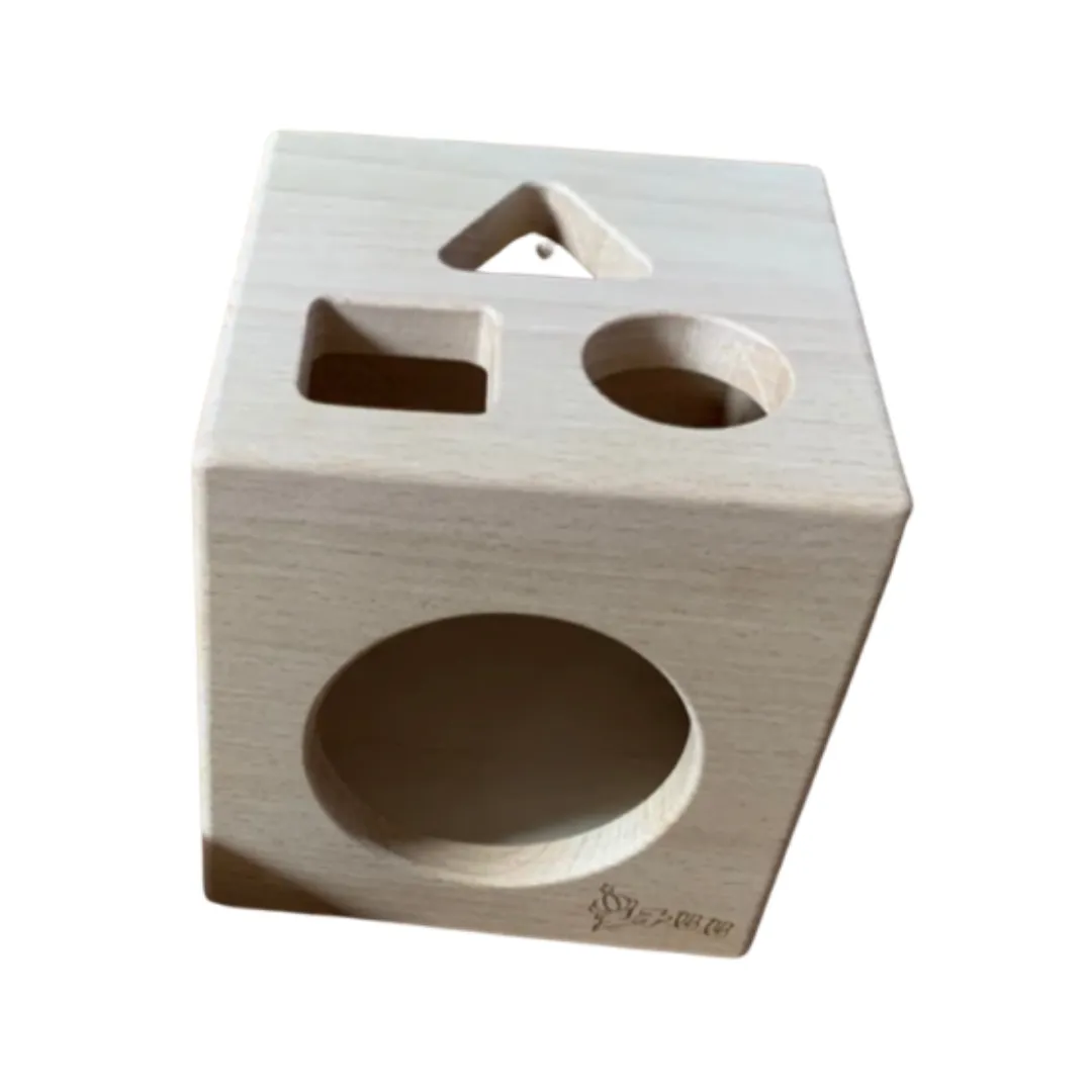 The Growing Brain PH Shape Sorting Cube