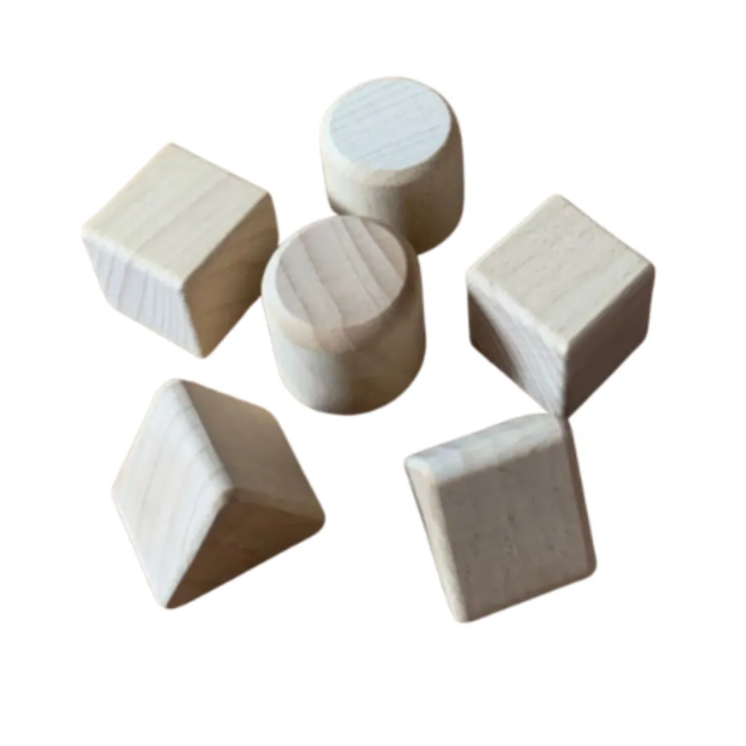 The Growing Brain PH Shape Sorting Cube